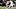 (Photo by Sean Gardner/Getty Images) – New Orleans Saints (Photo by Sean Gardner/Getty Images) – New Orleans Saints