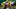 Green Bay Packers Green Bay Packers