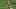 Terrace Marshall Jr., LSU Tigers Terrace Marshall Jr., LSU Tigers