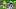 Green Bay Packers Green Bay Packers