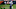 Buffalo Bills Buffalo Bills