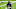 Buffalo Bills