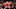 Cade Cunningham, Detroit Pistons Cade Cunningham, Detroit Pistons