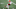 Cleveland Browns Cleveland Browns