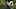 Tommy Fleetwood THE NORTHERN TRUST FedEx Cup Power Ranking
