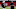 Arizona Cardinals, 2021 NFL Draft Arizona Cardinals, 2021 NFL Draft