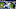 Detroit Lions Detroit Lions