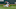 Boston Red Sox