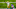 Green Bay Packers Green Bay Packers