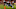 AUBURN, AL – NOVEMBER 25: Kerryon Johnson AUBURN, AL – NOVEMBER 25: Kerryon Johnson