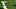 Alabama football will face the younger brother of Roberto Aquayo Alabama football will face the younger brother of Roberto Aquayo