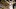 Klay Thompson Klay Thompson