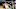 New York Knicks, Dallas Mavericks, Jalen Brunson New York Knicks, Dallas Mavericks, Jalen Brunson