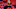 DraftKings NBA DraftKings NBA