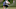Sanderson Farms Championship, Country Club Of Jackson, PGA Tour, FedEx Cup, Sam Burns Sanderson Farms Championship, Country Club Of Jackson, PGA Tour, FedEx Cup, Sam Burns