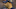Matt Nagy Chicago Bears Matt Nagy Chicago Bears