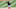DraftKings DraftKings