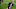 Manchester United, Edinson Cavani Manchester United, Edinson Cavani