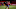 Real Madrid, Fede Valverde Real Madrid, Fede Valverde