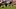 Seattle Seahawks