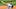 Washington Nationals pitcher Max Scherzer Washington Nationals pitcher Max Scherzer