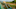 Survivor Edge of Extinction episode 4 Immunity Challenge layout closeup Survivor Edge of Extinction episode 4 Immunity Challenge layout closeup