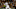 MLB DFS MLB DFS