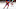 Montreal Canadiens Montreal Canadiens