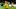 DORTMUND, GERMANY – DECEMBER 01: Marco Reus of Borussia Dortmund celebrates scoring the opening goal via penalty kick during the Bundesliga match between Borussia Dortmund and SC Freiburg at the Signal Iduna Park on December 01, 2018 in Dortmund, Germany. (Photo by Alexandre Simoes/Borussia Dortmund/Getty Images) DORTMUND, GERMANY – DECEMBER 01: Marco Reus of Borussia Dortmund celebrates scoring the opening goal via penalty kick during the Bundesliga match between Borussia Dortmund and SC Freiburg at the Signal Iduna Park on December 01, 2018 in Dortmund, Germany. (Photo by Alexandre Simoes/Borussia Dortmund/Getty Images)