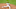 DraftKings DraftKings