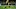 Green Bay Packers Green Bay Packers
