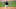 TAMPA, FL – MARCH 11: Gleyber Torres (Photo by Justin K. Aller/Getty Images) TAMPA, FL – MARCH 11: Gleyber Torres (Photo by Justin K. Aller/Getty Images)
