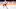 Detroit Red Wings
