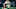 Miami Dolphins