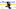 Darcy Kuemper #35