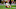 San Francisco 49ers Oakland Raiders Battle of the Bay Thursday Night Football preview San Francisco 49ers Oakland Raiders Battle of the Bay Thursday Night Football preview