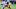 Chicago Bears - 