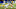 Senior Bowl Senior Bowl