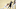 LA Clippers, Reggie Jackson LA Clippers, Reggie Jackson