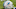 FS_SeasonPreviews_Dolphins