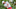 Sony Open, Waialae, Sony Open in Hawaii, PGA Tour, Jordan Spieth Sony Open, Waialae, Sony Open in Hawaii, PGA Tour, Jordan Spieth