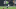 Houston Texans Houston Texans