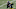 Dec 27, 2020; Pittsburgh, Pennsylvania, USA; Pittsburgh Steelers tight end Eric Ebron (85) runs after a catch against the Indianapolis Colts during the fourth quarter at Heinz Field. The Steelers won 28-24. Mandatory Credit: Charles LeClaire-USA TODAY Sports Dec 27, 2020; Pittsburgh, Pennsylvania, USA; Pittsburgh Steelers tight end Eric Ebron (85) runs after a catch against the Indianapolis Colts during the fourth quarter at Heinz Field. The Steelers won 28-24. Mandatory Credit: Charles LeClaire-USA TODAY Sports