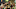 Mark Jackson, Indiana Pacers Mark Jackson, Indiana Pacers