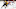 Boston Bruins Boston Bruins
