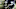 Seattle Seahawks Seattle Seahawks