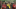 Liverpool, Jerzy Dudek. Liverpool, Jerzy Dudek.
