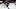 Toronto Marlies Toronto Marlies