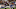 Jerod Mayo, New England Patriots Jerod Mayo, New England Patriots