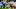 San Francisco 49ers, Detroit Lions San Francisco 49ers, Detroit Lions